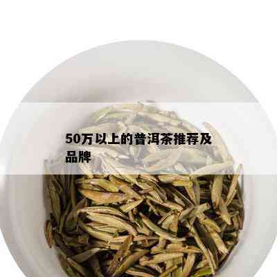 50万以上的普洱茶推荐及品牌