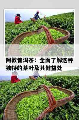 阿敦普洱茶：全面了解这种独特的茶叶及其健益处