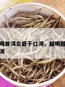 喝普洱会唇干口渴，越喝越渴