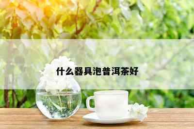 什么器具泡普洱茶好