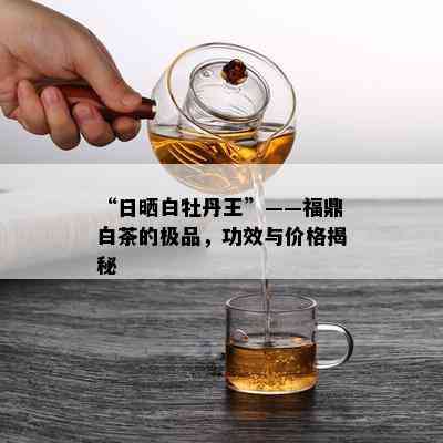 “日晒白牡丹王”——福鼎白茶的极品，功效与价格揭秘