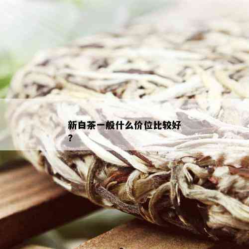 新白茶一般什么价位比较好?