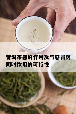 普洱茶感的作用及与感冒同时饮用的可行性