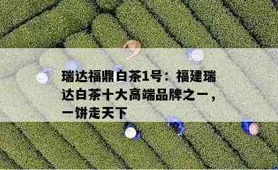 瑞达福鼎白茶1号：福建瑞达白茶十大高端品牌之一，一饼走天下