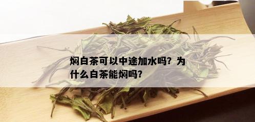 焖白茶可以中途加水吗？为什么白茶能焖吗？