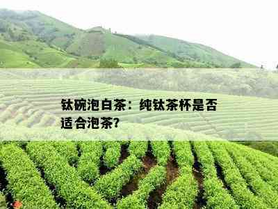 钛碗泡白茶：纯钛茶杯是否适合泡茶？