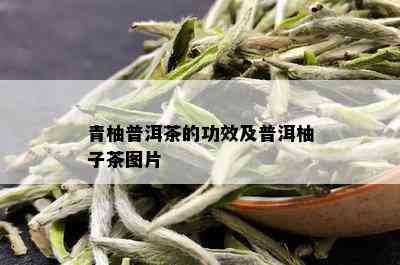 青柚普洱茶的功效及普洱柚子茶图片