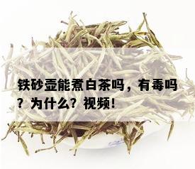 铁砂壶能煮白茶吗，有吗？为什么？视频！