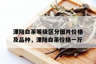 溧阳白茶等级区分图片价格及品种，溧阳白茶价格一斤