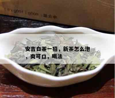 安吉白茶一招，新茶怎么泡，爽可口，喝法