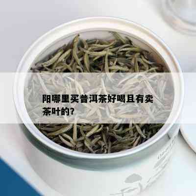 阳哪里买普洱茶好喝且有卖茶叶的？