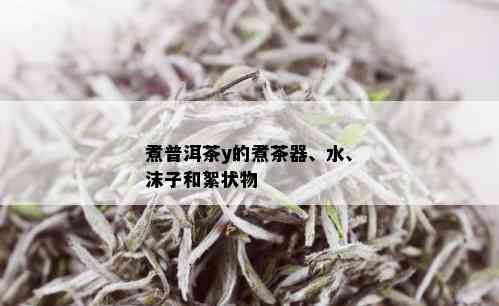 煮普洱茶y的煮茶器、水、沫子和絮状物