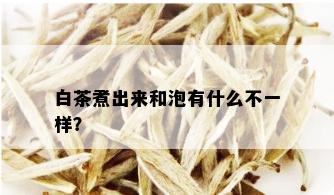 白茶煮出来和泡有什么不一样？