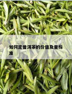 如何定普洱茶的价值及量标准