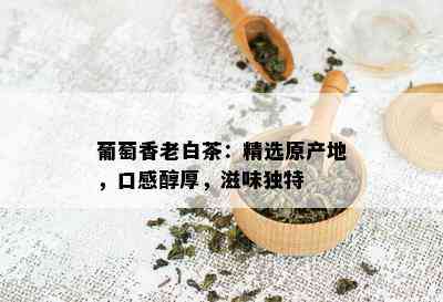 葡萄香老白茶：精选原产地，口感醇厚，滋味独特