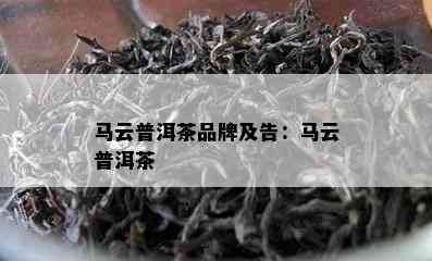 马云普洱茶品牌及告：马云普洱茶