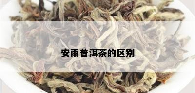 安雨普洱茶的区别