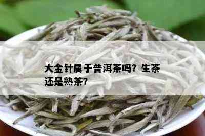 大金针属于普洱茶吗？生茶还是熟茶？