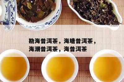 勘海普洱茶，海塘普洱茶，海潮普洱茶，海普洱茶