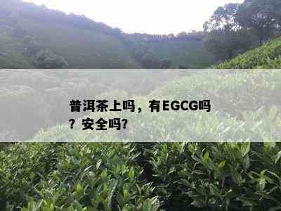 普洱茶上吗，有EGCG吗？安全吗？