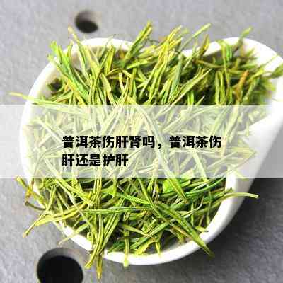 普洱茶伤肝肾吗，普洱茶伤肝还是护肝