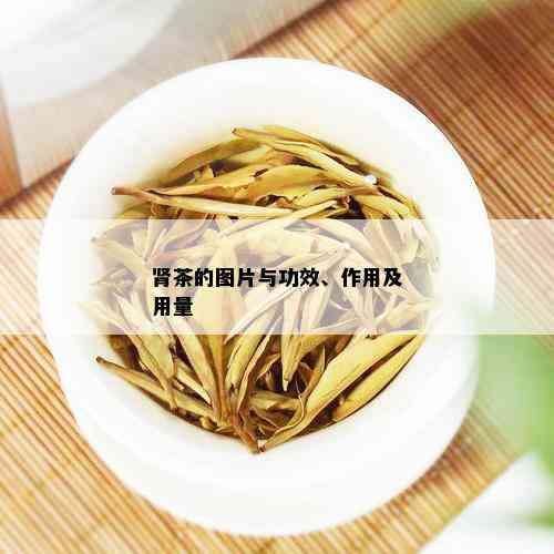 肾茶的图片与功效、作用及用量