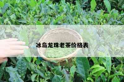 冰岛龙珠老茶价格表