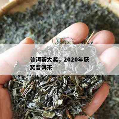 普洱茶大奖，2020年获奖普洱茶