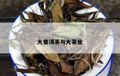 大普洱茶与大茶业