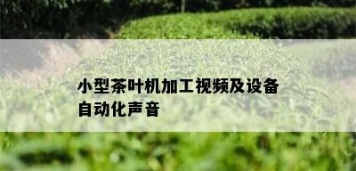 小型茶叶机加工视频及设备自动化声音