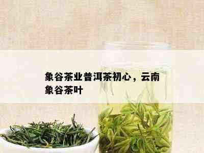 象谷茶业普洱茶初心，云南象谷茶叶