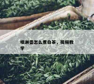 喷淋壶怎么煮白茶，视频教学