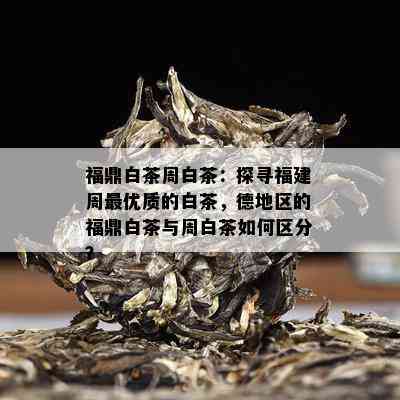 福鼎白茶周白茶：探寻福建周更优质的白茶，德地区的福鼎白茶与周白茶如何区分？