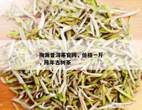 掬源普洱茶官网，价格一斤，陈年古树茶