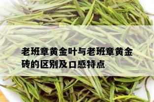 老班章黄金叶与老班章黄金砖的区别及口感特点