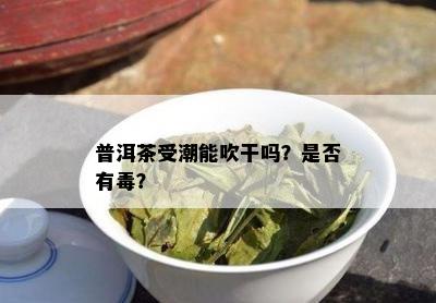 普洱茶受潮能吹干吗？是否有？