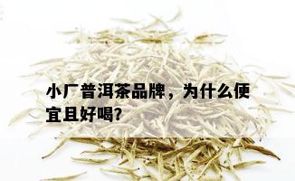 小厂普洱茶品牌，为什么便宜且好喝？