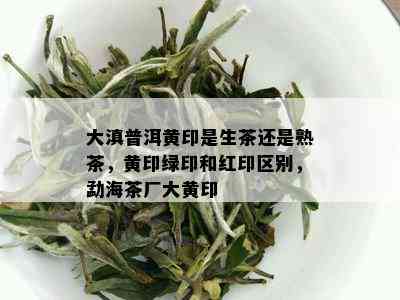 大滇普洱黄印是生茶还是熟茶，黄印绿印和红印区别，勐海茶厂大黄印