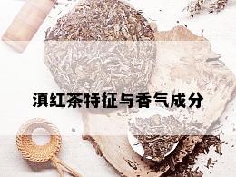 滇红茶特征与香气成分