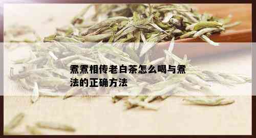 煮煮相传老白茶怎么喝与煮法的正确方法