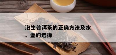 泡生普洱茶的正确方法及水、壶的选择