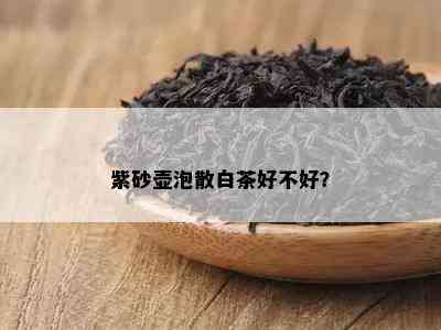 紫砂壶泡散白茶好不好？