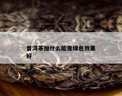 普洱茶加什么能变绿色效果好