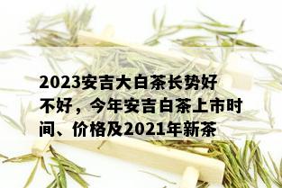 2023安吉大白茶长势好不好，今年安吉白茶上市时间、价格及2021年新茶