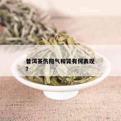 普洱茶伤阳气和肾有何表现？