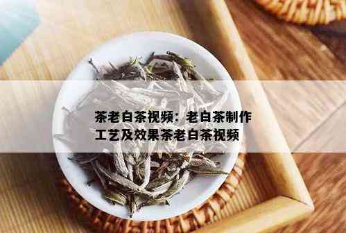 茶老白茶视频：老白茶制作工艺及效果茶老白茶视频