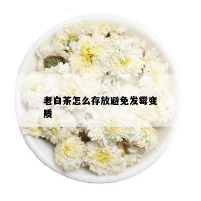 老白茶怎么存放避免发霉变质