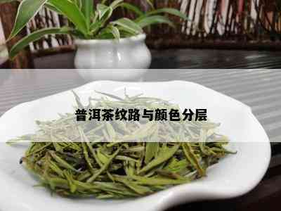 普洱茶纹路与颜色分层