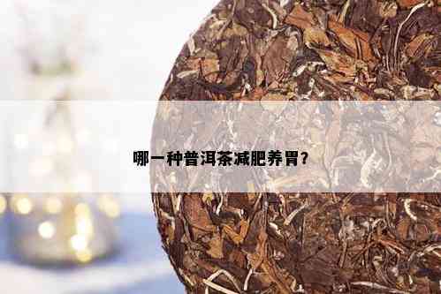 哪一种普洱茶减肥养胃？