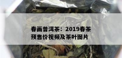 春画普洱茶：2019春茶预售价视频及茶叶图片